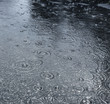 rain on a street