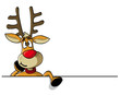 Reindeer on white Background