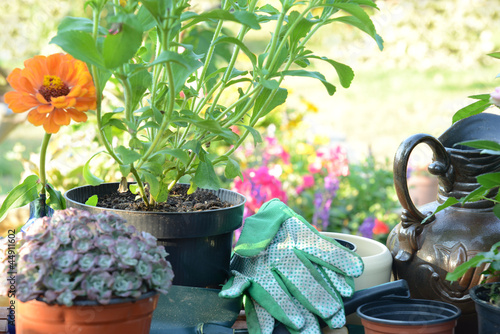 Photo: Garten 6 Garten 6