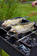canvas print picture - Grilled fish