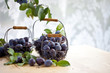 Fresh ripe plums and leaves