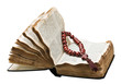 open bible and wooden rosary