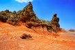 Canary islands in Tenerife Teide National Park