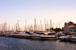 Luxury yachts in Cannes  port