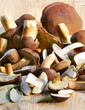 gesammelte Pilze