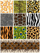 Set seamless patterns animals. Vector