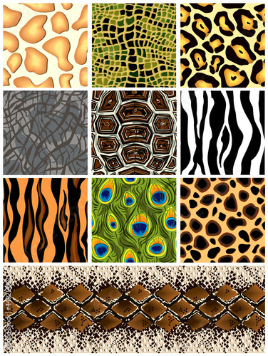Vector: Set seamless patterns animals. Vector Set seamless patterns animals. Vector