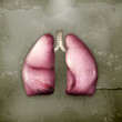 Human lungs, old-style
