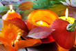 Herbst - Dekoration