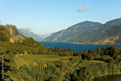 Photo: View over Columbia River, Columbia River Gorge, Oregon. View over Columbia River, Columbia River Gorge, Oregon.