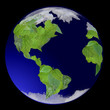 Growing Green Globe