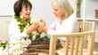 Older Ladies Hobby Crafting Fun Home