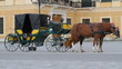 Carriage with horses for hire in Vienna