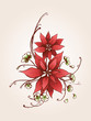 Poinsettias hand drawn xmas card