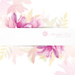 cyclamen background