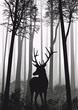 cerf foret