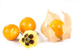 Physalis fruit with blossom