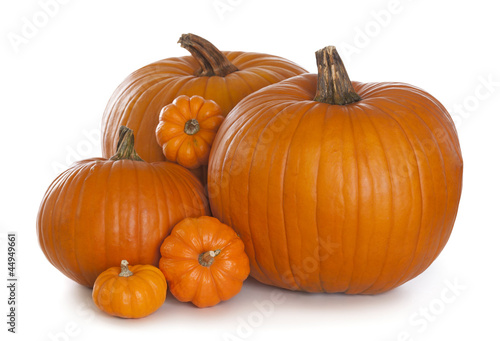 Photo: Pumpkins Pumpkins