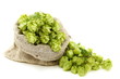 Hop cones in a bag.