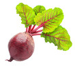 Beetroot isolated on white