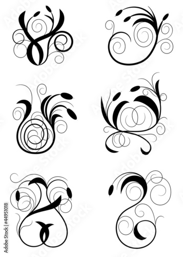 Illustration: Illustration drawing of floral design elements Illustration drawing of floral design elements