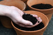 Planting new plants