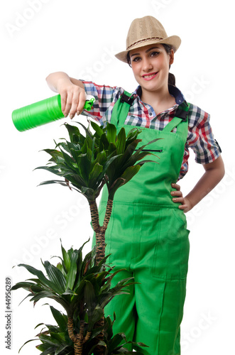 Photo: Girl watering plants on white Girl watering plants on white