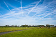Dutch fields