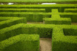 geometric pattern of green hedge flowerbed