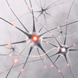 Neurons
