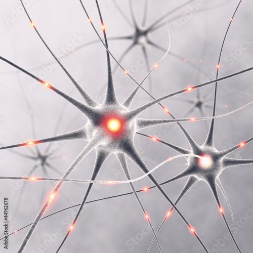 Illustration: Neurons Neurons