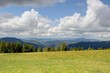 panorama en foret noire