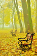 Foto: Red benches in the park Red benches in the park