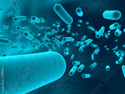 Illustration: bacteria - blue version bacteria - blue version