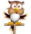 Happy Owl Cartoon Character-Gufo Felice-Vector
