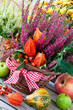Blumen - Dekoration