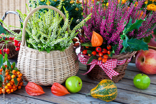 Photo: Blumen - Dekoration Blumen - Dekoration