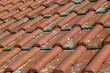Dachziegel