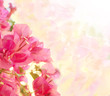 Beautiful abstract floral background with pink flowers. Border d