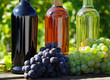 Wein Sorten - Wine