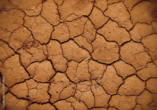 Photo: dry land dry land