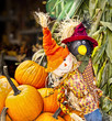 Photo: Autumn / Halloween 5 Autumn / Halloween 5