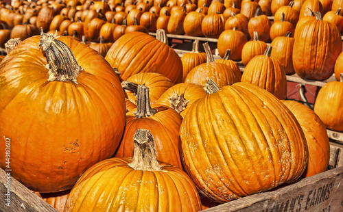 Photo: Autumn / Halloween 8 Autumn / Halloween 8
