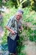 Senior woman in the vegetable garden