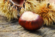 Herbstkastanien