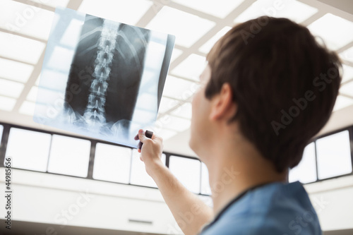 Photo: Nurse is checking an x-ray Nurse is checking an x-ray