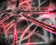 Pink microscopic nervous system