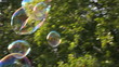 Video: Large soap bubbles in levitation Large soap bubbles in levitation