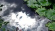 Sky reflection in water