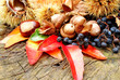 Nahaufnahme diverse herbstliche Fundstücke